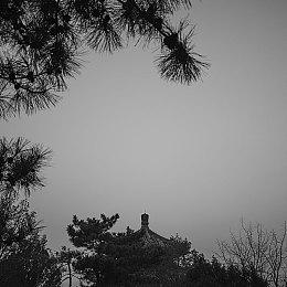 PC版《黑暗之魂3》在线服务器现已恢复 官方致歉